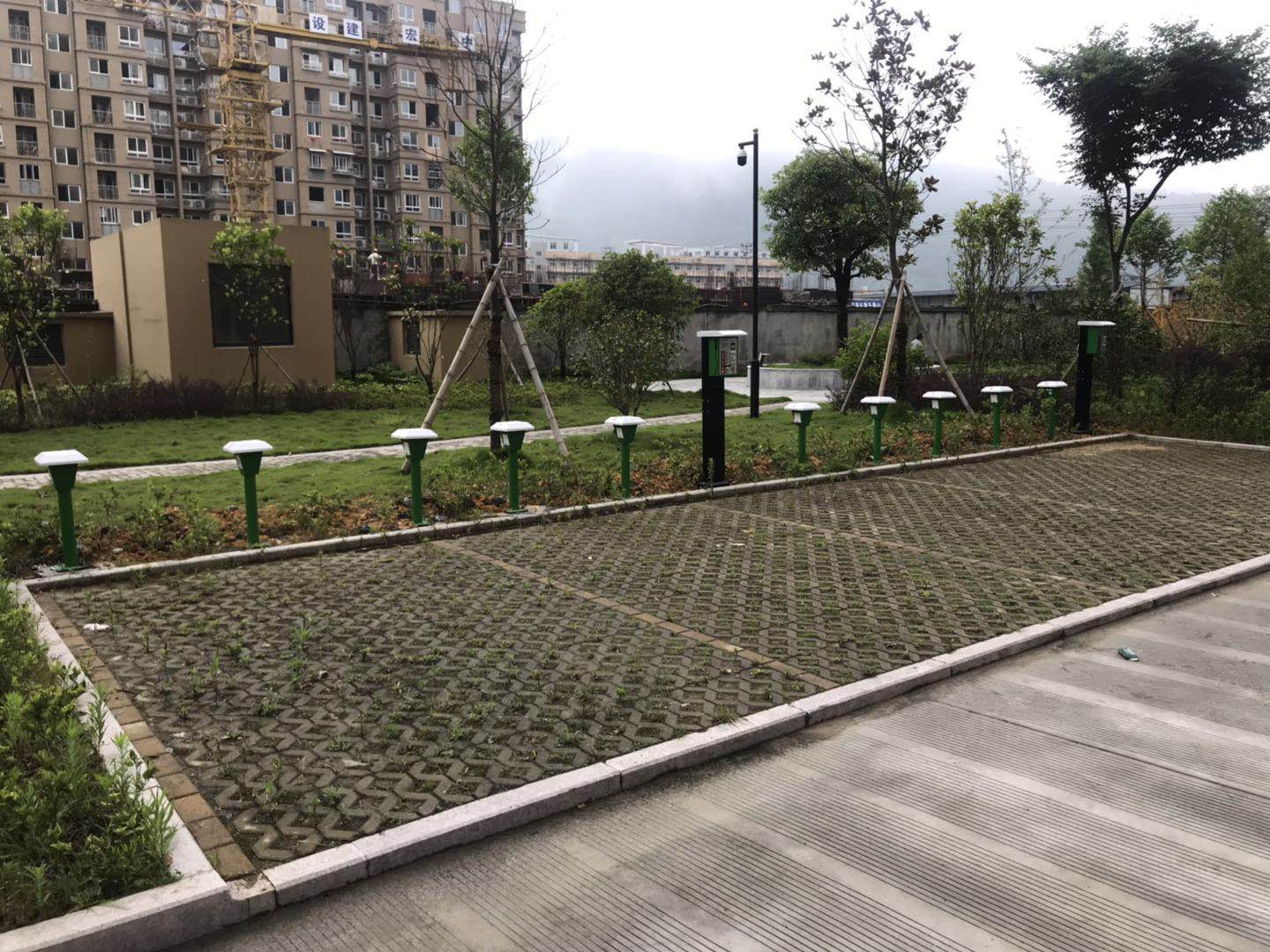 1560992941752048.jpg 4b1534098683786fe0718a0240a6e07.jpg